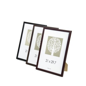 Rėmelių rinkinys 21*29.7 (mix 12vnt) PN-P