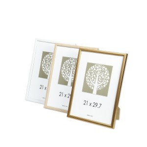 Rėmelių rinkinys 21*29.7 (mix 12vnt) PN-P