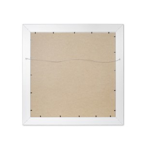 Reprodukcija 1705439 su rėmu 6003 Gėlės buteliuose 50x50 SVX