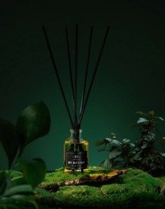 Namų kvapas su lazdelėmis 50ml Aromatic By design