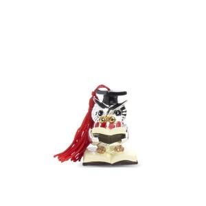 Figūrėlė Pelėda absolventė 5,5/4,5x3x2,5 cm 80205