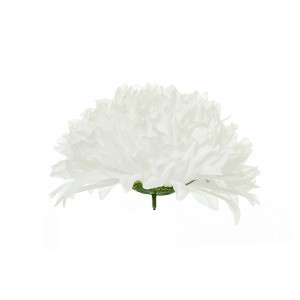 Dekoratyvinė gėlė Chrizantemos galvutė 10x20 cm (6) balta/kreminė W561 DDM