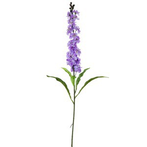 Dekoratyvinė gėlė Leukonija violetinė (24) h 78 cm SAVEX