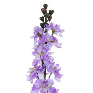 Dekoratyvinė gėlė Leukonija violetinė (24) h 78 cm SAVEX