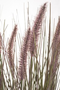 Dekoratyvinė gėlė vazonėlyje 47x19x19 cm 138479