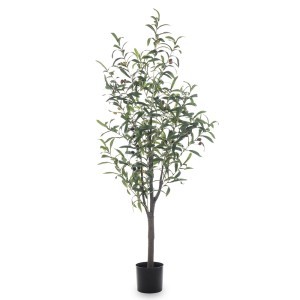 Dekoratyvinė gėlė vazonėlyje Alyvmedis 120x50x50 cm 146408