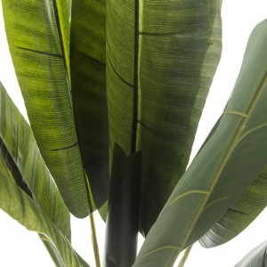 Dekoratyvinė gėlė vazonėlyje Bananmedis 125x40x40 cm 146397