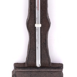Termometras laukui metalinis 32x14x2 cm 159159