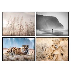 Paveikslas drobė su rėmu (MIX) 50x2,6x70 cm Atmosphera 166938DIS