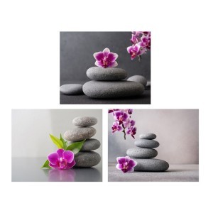 Paveikslas Akmenys 40x50 cm (mix 3) 8445393490120