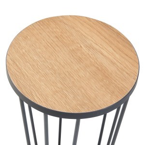 Stovas gėlėms metalinis 62x20 cm juoda sp. Fossbergom PXFF-0148 84238854