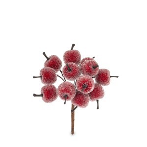 Dekoratyvinė šakelė su obuoliukais  12x12x7,5 cm 181404 KLD