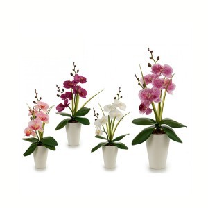 Dirbtinis augalas Orchidėja su baltu vazonu 14x8x35 cm (mix) Ibergarden 55270