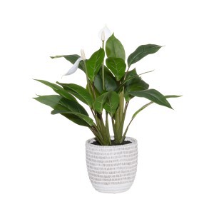Dirbtinis augalas Vėzdūnė su vazonu 45x35x50 cm 4Living 623175