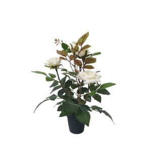 Dekoratyvinė gėlė Žydinti rožė vazonėlyje 35 cm balta 8445393206592