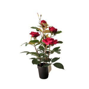 Dekoratyvinė gėlė Žydinti rožė vazonėlyje 35 cm raudona 8445393206608