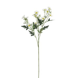 Dekoratyvinė gėlė Ramunės 11x11x68 cm 8445393050751