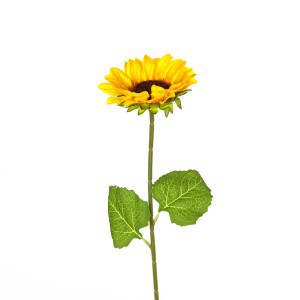 Dekoratyvinė gėlė Saulėgrąža D13xH47 cm 50929