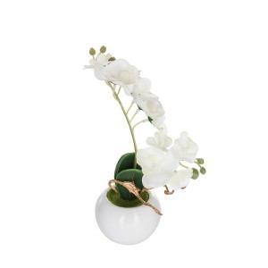 Dekoratyvinis augalas Orchidėja su vazonu 20x20x26 cm (mix) Atmosphera 155716