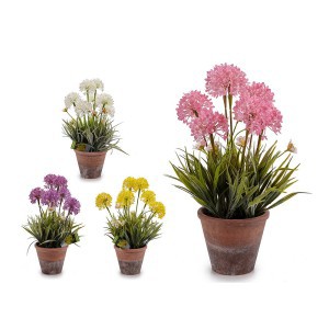 Dekoratyvinis augalas 24x24x43 cm vazone (4 rūšių) Ibergarden 20801