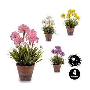 Dekoratyvinis augalas 24x24x43 cm vazone (4 rūšių) Ibergarden 20801