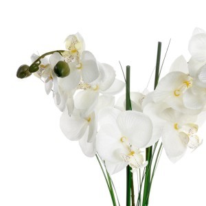 Dekoratyvinis augalas Orchidėja su juodu vazonu 38x38x53 cm Atmosphera 136510A