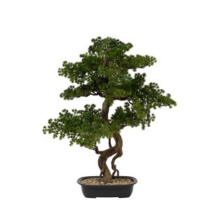 Dekoratyvinis augalas su vazonu Bonsas 72x36x86 cm Atmosphera 206547