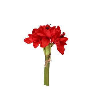 Dekoratyvinė gėlių puokštė Amariliai D17xH31 cm (mix) 4Living 317935