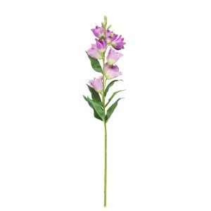 Dekoratyvinė gėlė Katilėlis violetinė spalva 14x14x71 cm 4Living 643664