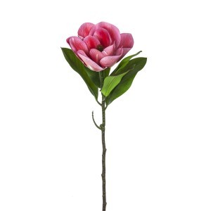 Dekoratyvinė gėlė Magnolija 12x12x65 cm Countryfield 122196