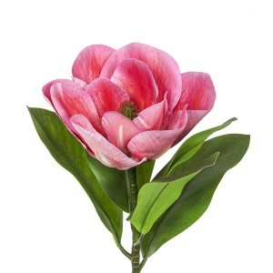 Dekoratyvinė gėlė Magnolija 12x12x65 cm Countryfield 122196