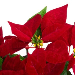 Dekoratyvinė gėlė Puansetija 21x21x26 cm 4Living 649228 KLD