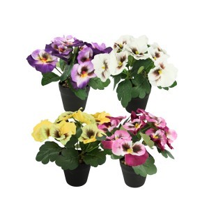 Dekoratyvinis augalas Našlaitės D15xH21 cm plastikiniame vazone 120243