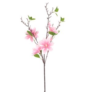 Dekoratyvinė gėlė Magnolija 17x17x82 cm Countryfield 122172