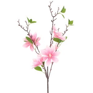 Dekoratyvinė gėlė Magnolija 17x17x82 cm Countryfield 122172