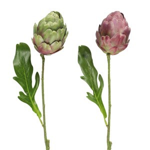 Dekoratyvinis augalas Artišokas 12x7x47 cm (mix) 4Living 641316