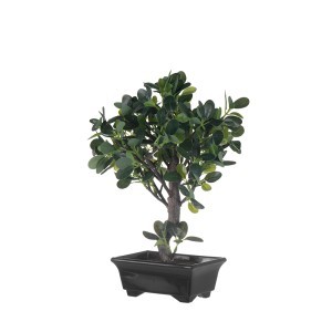 Dekoratyvinis augalas su vazonu Bonsas-Fikusas 23x20x33,5 cm 4Living 650060
