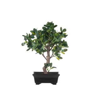 Dekoratyvinis augalas su vazonu Bonsas-Fikusas 23x20x33,5 cm 4Living 650060