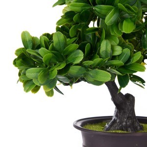 Dekoratyvinis augalas su vazonu Bonsas 14x27x28 cm Ibergarden 82918