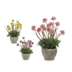 Dekoratyvinis augalas su vazonu 22x28x38 cm (mix) Ibergarden 20802