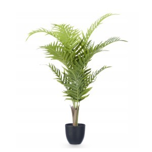 Dekoratyvinis augalas 55x55x95 cm vazone Ibergarden 11418