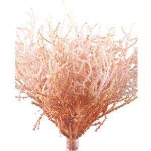Dekoratyvinis koralas oranžinis 13x16x20 cm PTMD 105644
