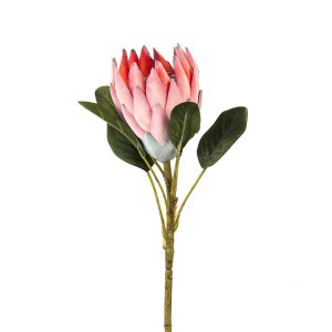 Dekoratyvinė gėlė Artišokas 3 mix  57 cm K04283