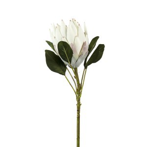 Dekoratyvinė gėlė Artišokas 3 mix  57 cm K04283