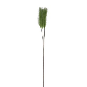 Dekoratyvinis augalas kortiderija (pampos) 15x130 cm žalia spalva 105022