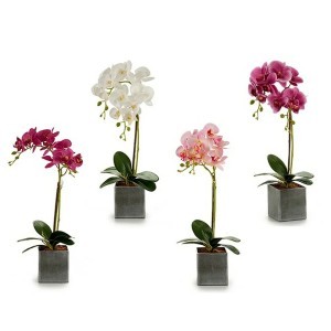 Dirbtinis augalas Orchidėja su pilku vazonu 18x51x14 cm (mix) Ibergarden 55247