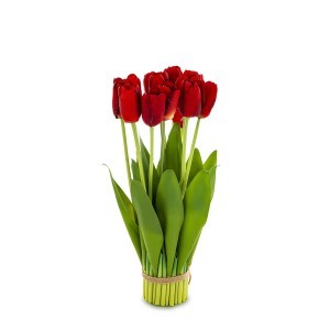 Dekoratyvinė gėlė Tulpės 38x16x16 cm 174830