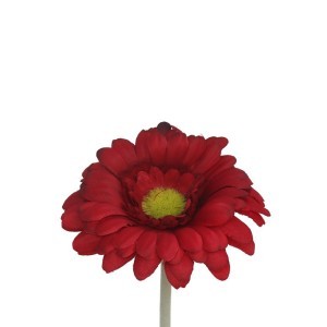 Dekoratyvinė gėlė Gerbera raudona 12x12x52 cm 8445393227702