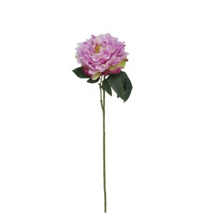 Dekoratyvinė gėlė Bijūnas 74 cm violetinis 8430540867504