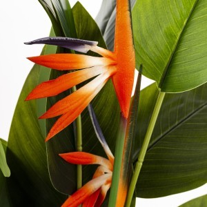 Dirbtinė gėlė vazonėlyje Strelicija 86x45x35 cm 176222